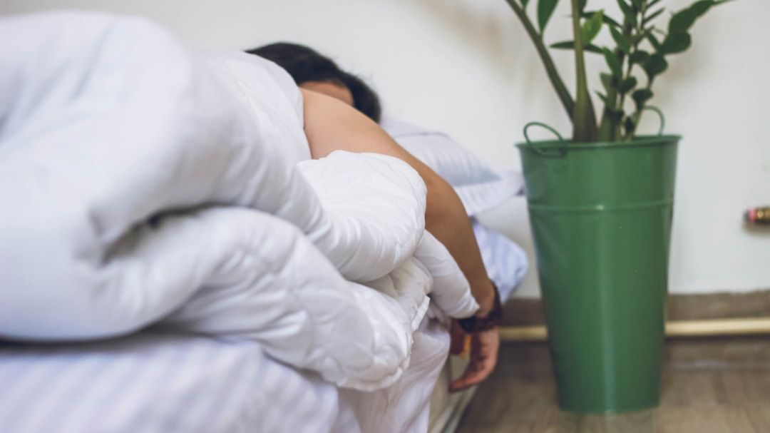 A woman sleeping under a white duvet beside a potted plant